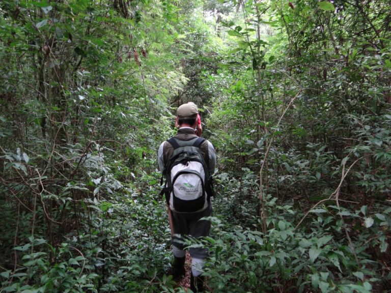 1ª OFICINA TÉCNICA DO PLANO DE MANEJO DAS ESTAÇÕES ECOLÓGICAS DO MUNICÍPIO DE BARBOSA FERRAZ